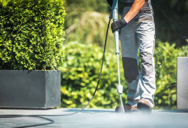 Best Roof Washing  in Herald, CA