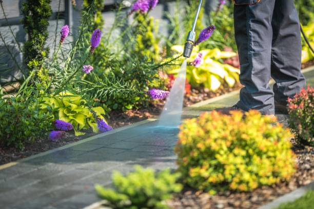 Best Winterizing Services  in Herald, CA