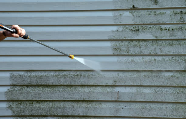 Best House Exterior Washing  in Herald, CA